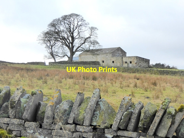 Photo 6"x4" Tute Hill Bowes\/NY9913 c2017