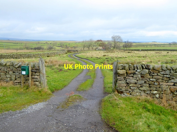 Photo 6"x4" Driveway to Stoney Keld Bowes\/NY9913 c2017
