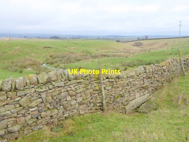 Photo 6"x4" Small sike near Battle Hill Farm Lartington c2017