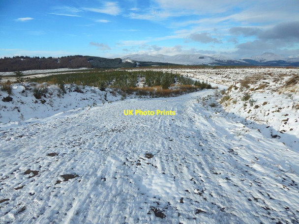 Photo 6"x4" View from the end of a forestry track Arden\/NS3684 c2017