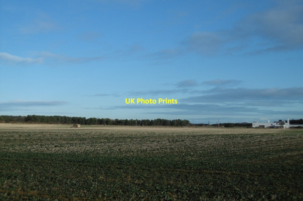 Photo 6"x4" Stubble, Dirleton Dirleton\/NT5183 c2017