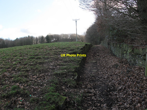 Photo 6"x4" Footpath above Brier Knowl Mirfield c2017