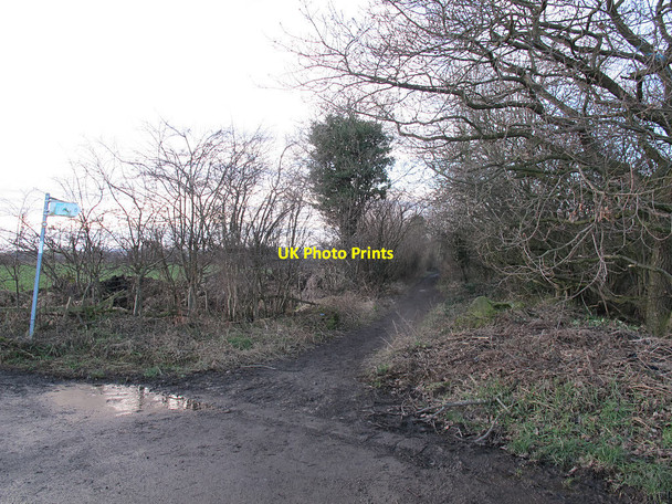 Photo 6"x4" Bridleway off Back Lane, Whitley Mirfield c2017