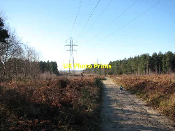 Photo 6"x4" Power lines in Fritton Wood Fritton\/TG4600 c2017