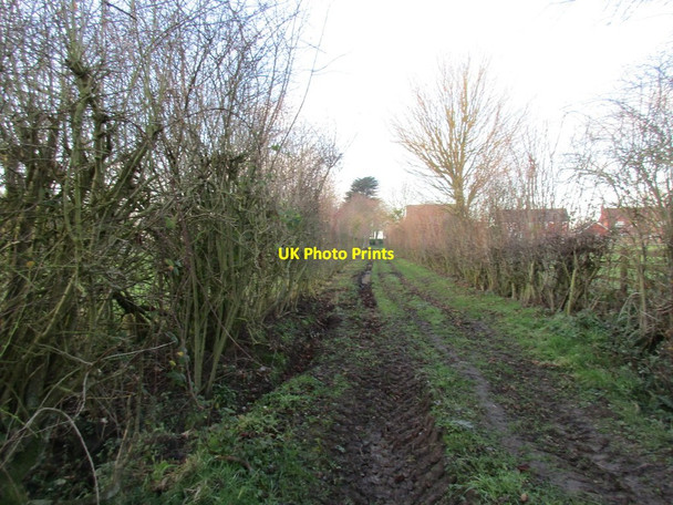 Photo 6"x4" Access track at North Thoresby North Thoresby c2017