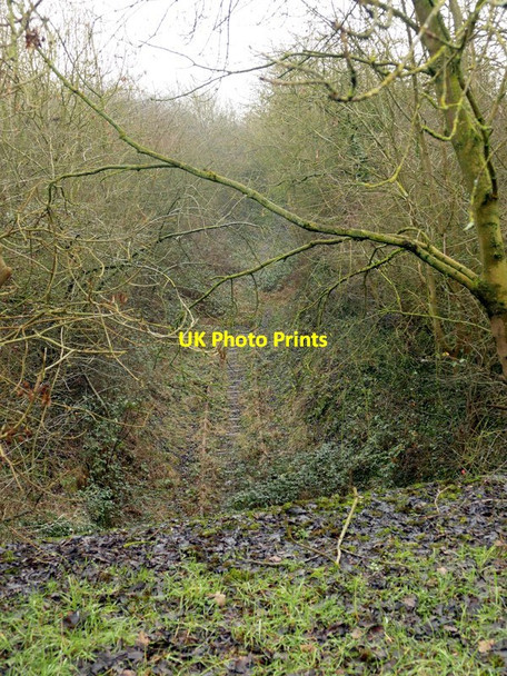 Photo 6"x4" Abandoned mineral railway Flixborough c2017