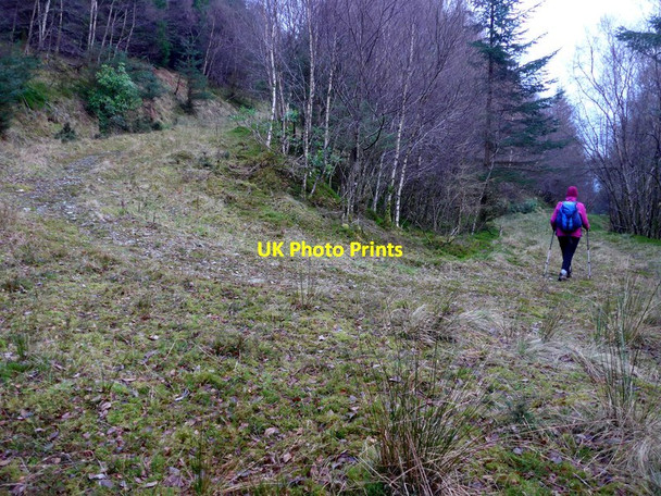 Photo 6"x4" Forestry track below Meall Dubh Altskeith c2017