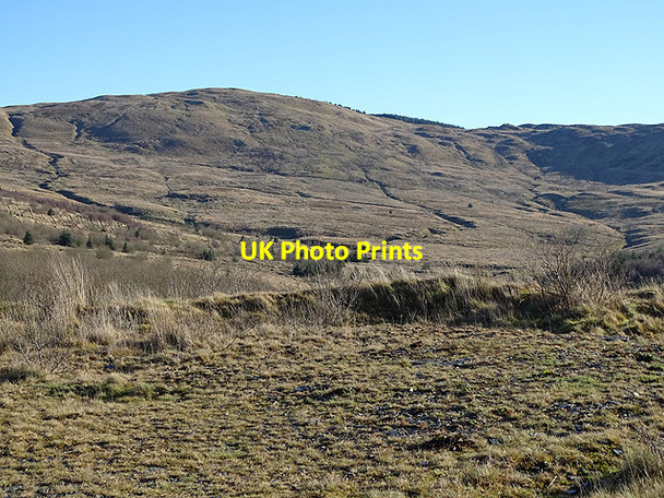 Photo 6"x4" In Coed y Brenin Nant Ganol c2017