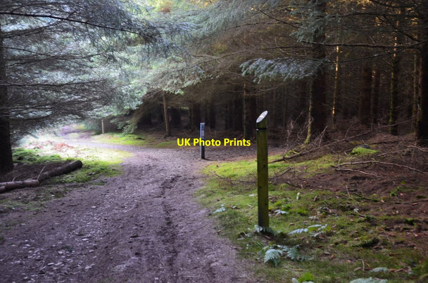 Photo 6"x4" Cycle track junction, Tower Rig Mailingsland c2017