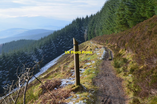 Photo 6"x4" Towers Trail below Shieldgreen Kipps, Glentress Forest Williamslee c2017