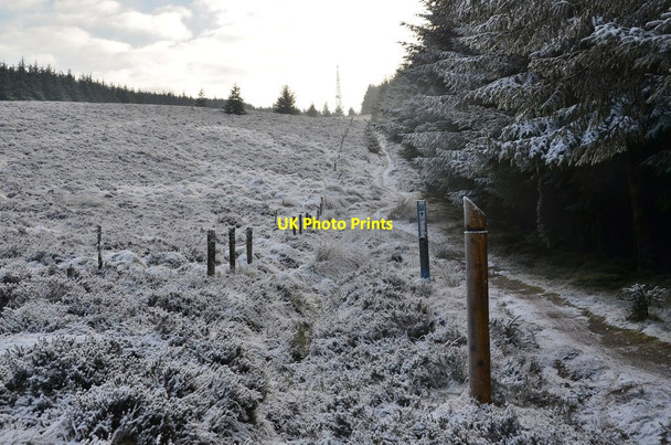 Photo 6"x4" Path on Dunslair Heights Williamslee c2017