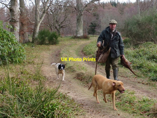 Photo 6"x4" Only two shooting days left.... Woodside\/NJ0555 c2017