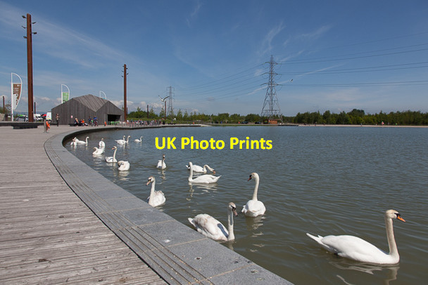 Photo 6"x4" At the edge of The Lagoon in Helix Park Falkirk c2016