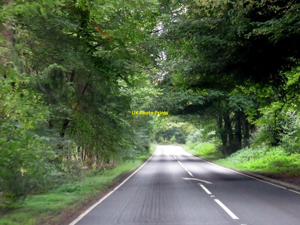 Photo 6"x4" The A4130 in Nettlebed Woods Bix c2015