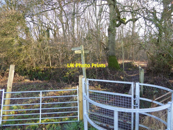 Photo 6"x4" Footpath junction on northern edge of Horton Wood Small Dole c2017
