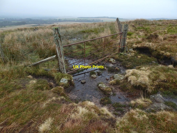 Photo 6"x4" Corner of fence Mill of Haldane c2017