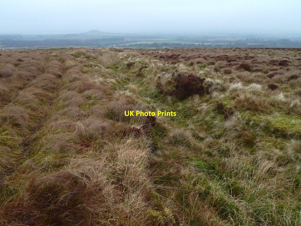 Photo 6"x4" Old boundary Mill of Haldane c2017