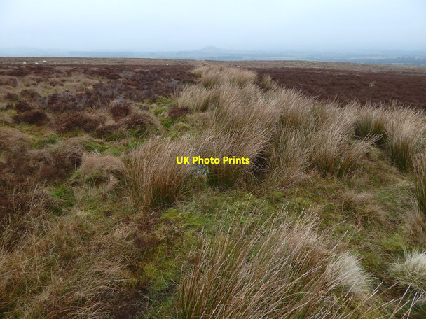 Photo 6"x4" Old boundary Mill of Haldane c2017 P2