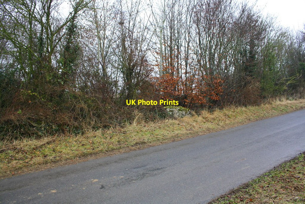 Photo 6"x4" Minor road NE of Minster Lovell Witney c2017