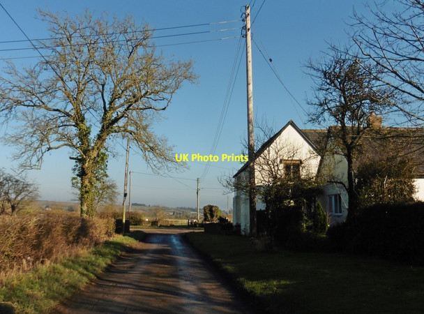 Photo 6"x4" Grove Lane Catsgore c2017