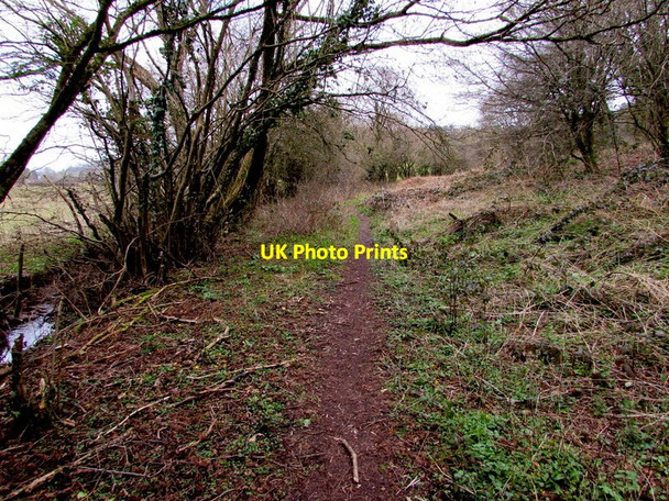 Photo 6"x4" Track into St Julian's Park, Newport Caerleon or Caerllion c2016