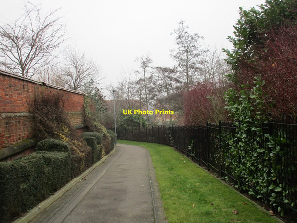 Photo 6"x4" Path below Railway Terrace York\/SE5951 c2017