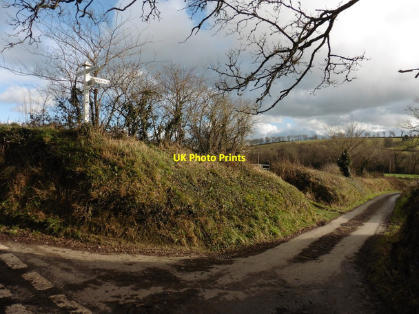 Photo 6"x4" Turning for Morebath Claypits\/SS9625 c2017