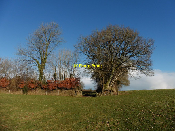 Photo 6"x4" Field boundary, near Skilgate Skilgate c2017