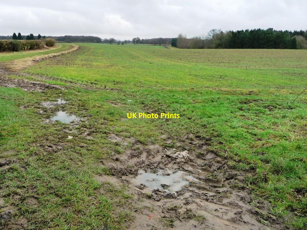 Photo 6"x4" Field with a muddy entrance, off Springs Lane Walton\/SE4447 c2017