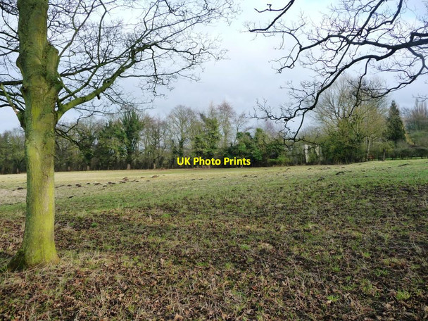 Photo 6"x4" Land with molehills, east of Wighill's avenue of trees Wighill c2017