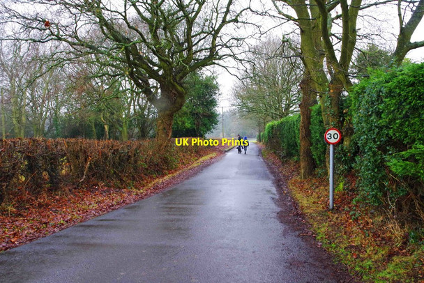 Photo 6"x4" Wilmore Lane & the North Worcestershire Path, near Wythall, Worcs Silver Street\/SP0775 c2017