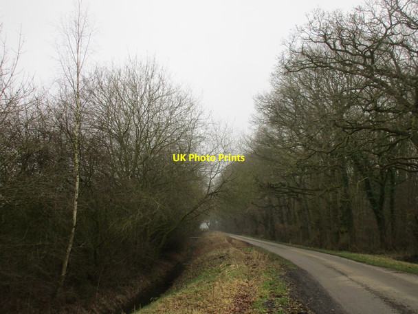 Photo 6"x4" Long Lane Aughton\/SE7038 c2017