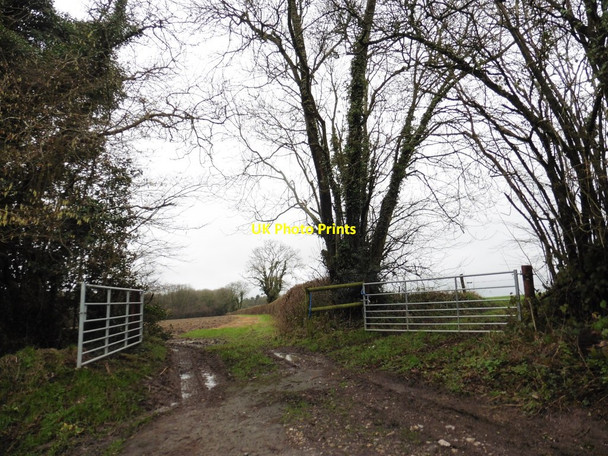 Photo 6"x4" Path to the Fosse Way Chalkway c2017