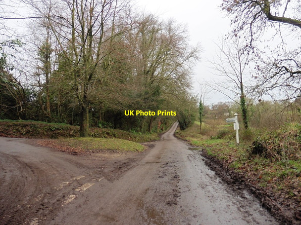 Photo 6"x4" Westhay Cross Hawkchurch c2017