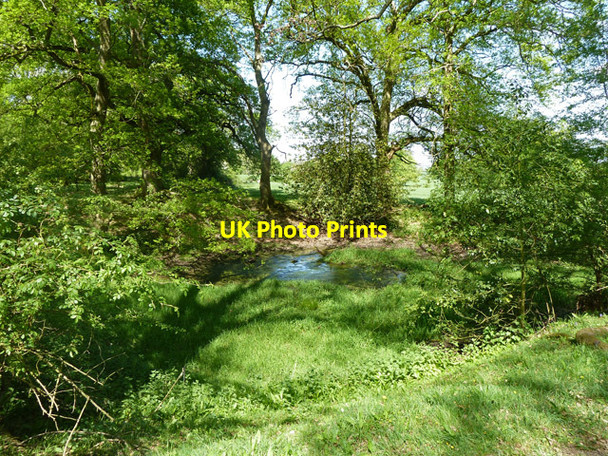 Photo 6"x4" Pond near Cox Green Road Cox Green\/TQ0934 c2011