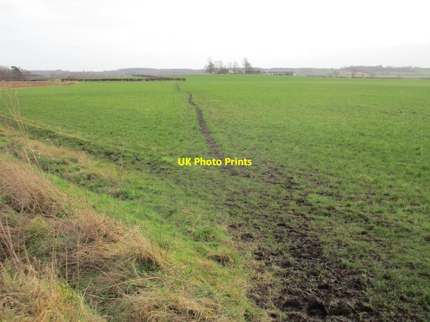 Photo 6"x4" Bridleway to Cotgrave Bassingfield c2017