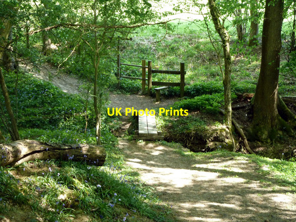 Photo 6"x4" Footbridge in Gravatt's Hanger Cox Green\/TQ0934 c2011