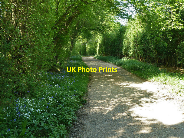 Photo 6"x4" Bridleway towards Cox Green Cox Green\/TQ0934 c2011