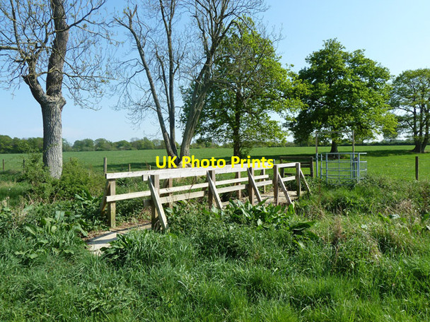 Photo 6"x4" Footbridge on footpath 445, Ewhurst Ellen's Green c2011