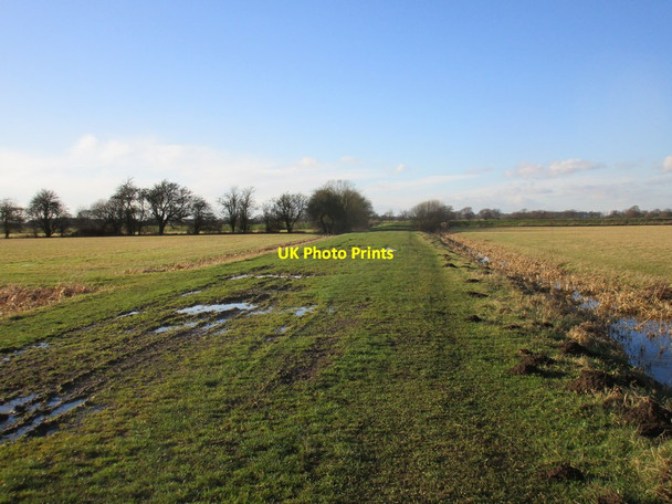 Photo 6"x4" Ings Lane, Ellerton Thorganby\/SE6941 c2017