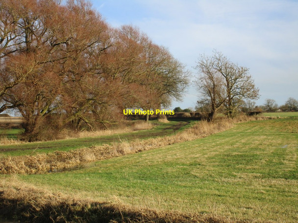Photo 6"x4" Ings Lane, Ellerton Ellerton\/SE7039 c2017