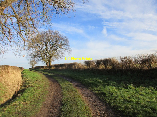 Photo 6"x4" Ings Lane, Ellerton Ellerton\/SE7039 c2017