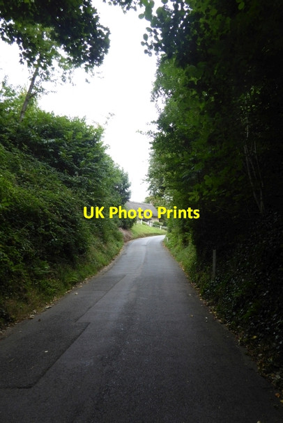 Photo 6"x4" Church Hill Godshill\/SZ5281 c2016