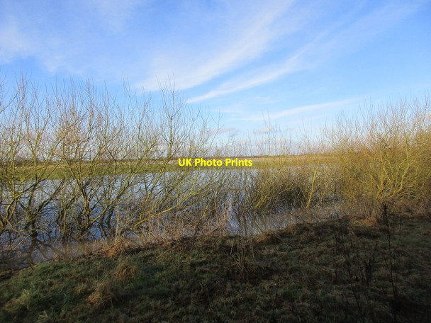 Photo 6"x4" Willows and the River Derwent in flood Gunby\/SE7035 c2017