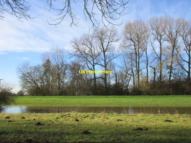 Photo 6"x4" By the River Derwent Menthorpe c2017