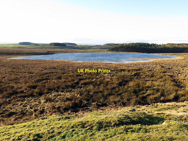 Photo 6"x4" Shield on the Wall Dam Shield on the Wall\/NY8270 c2017