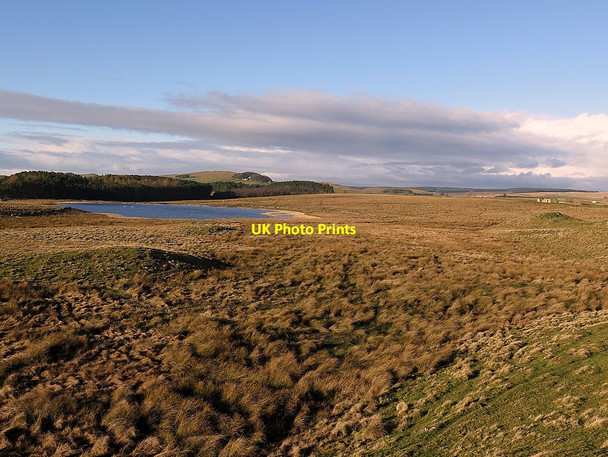 Photo 6"x4" Brown Moor near Shield on the Wall Uppertown\/NY8672 c2017