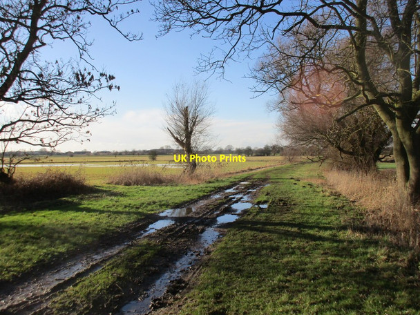 Photo 6"x4" Ings Lane, Ellerton Thorganby\/SE6941 c2017