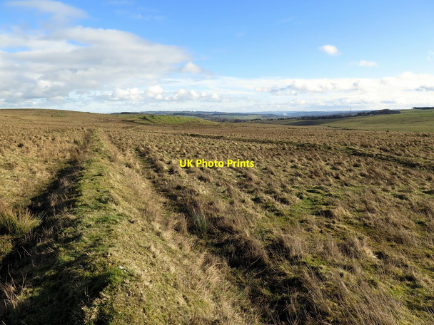 Photo 6"x4" Old boundary bank east of Grindon Chesterwood c2017