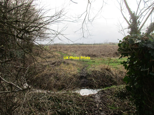 Photo 6"x4" Unofficial path Bassingfield c2017